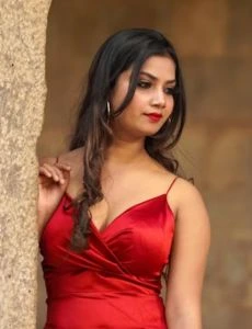 call girl service in Shamgarh